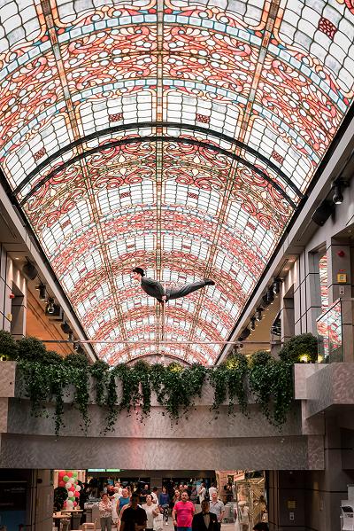 Artiste en équilibre horizontal sur un fil en hauteur dans l’atrium d’un navire de croisière, sous un plafond en vitrail coloré, avec des spectateurs en dessous.