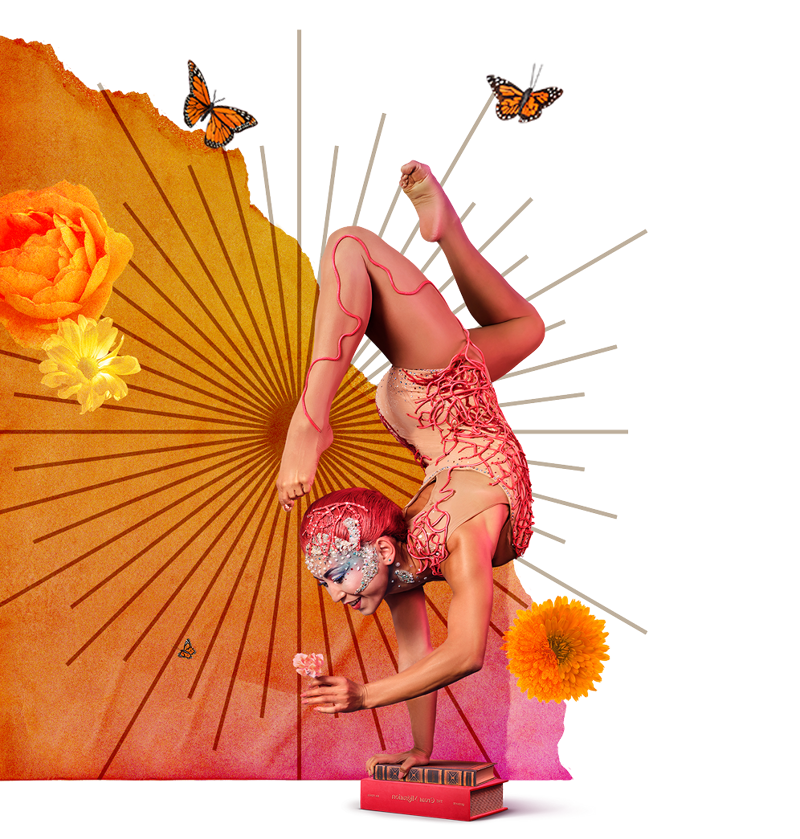 Une contorsionniste en équilibre sur une main au‑dessus de livres, entourée de fleurs orange et jaunes, de papillons et de lignes graphiques rayonnantes. L’arrière‑plan en dégradé chaud accentue la pose acrobatique et les détails artistiques du costume.
